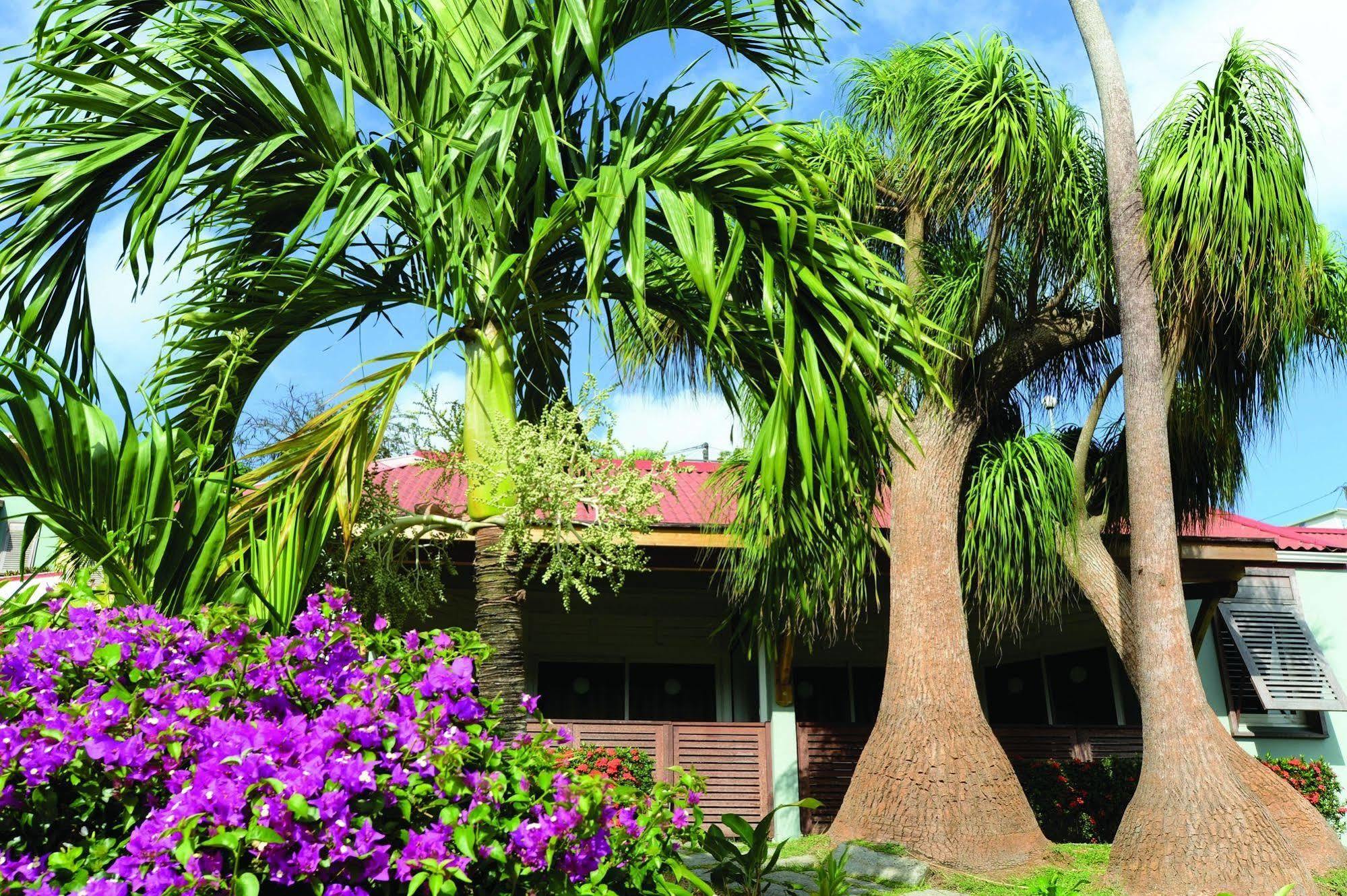 Le Panoramic Aparthotel Les Trois-Ilets Ngoại thất bức ảnh